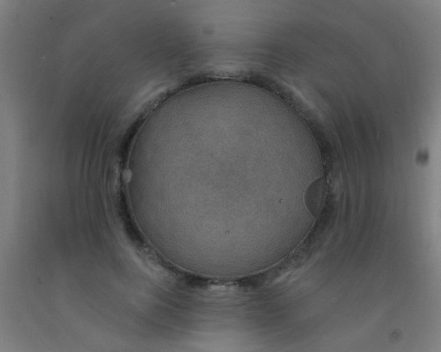 X0000092030744200709271609