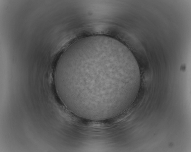 X0000092030746200709271609