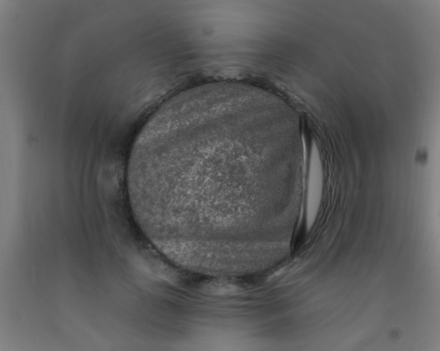 X0000092030747200709271609