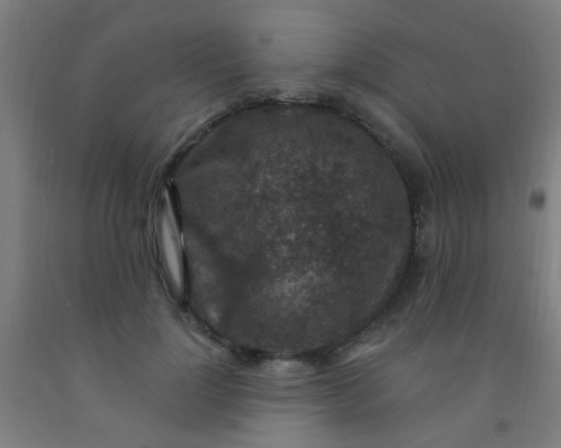 X0000092030748200709271609