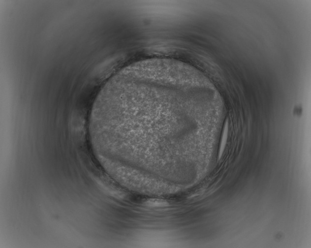 X0000092030749200709271609