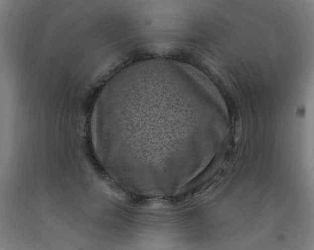 X0000092030750200709271609