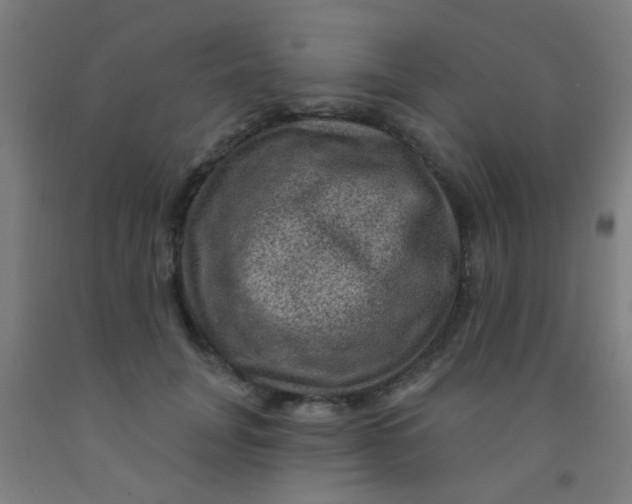 X0000092030751200709271609