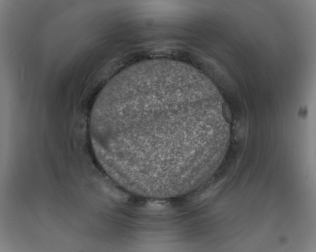 X0000092030753200709271609