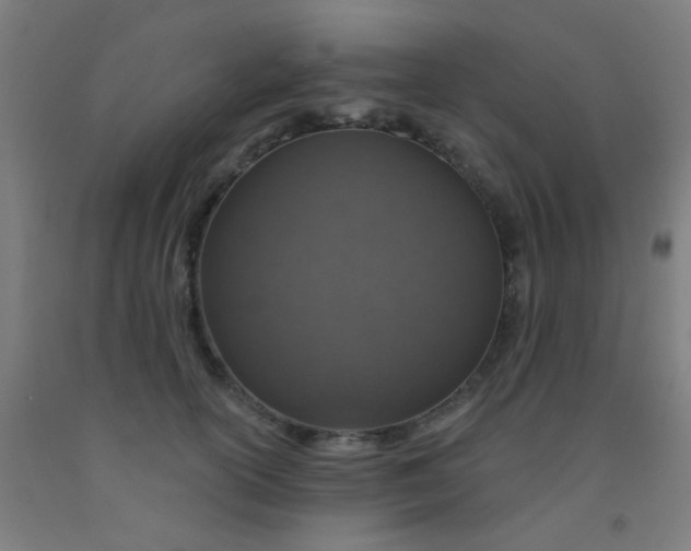 X0000092030754200709271609