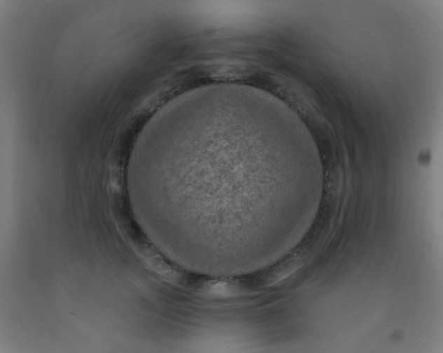 X0000092030755200709271609