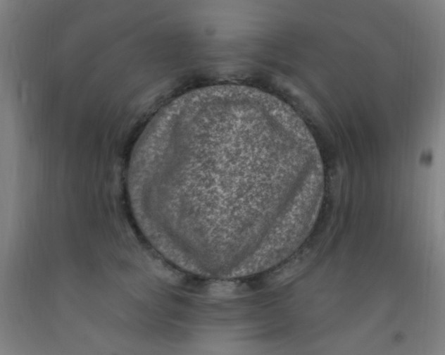 X0000092030757200709271609