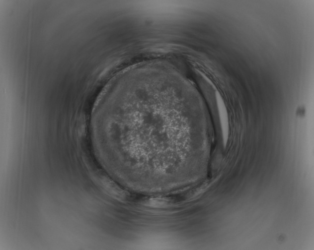 X0000092030758200709271609