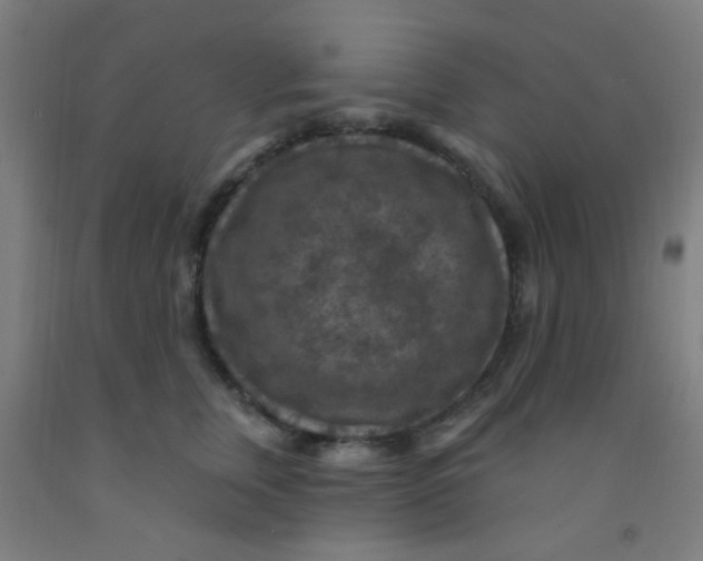 X0000092030759200709271609