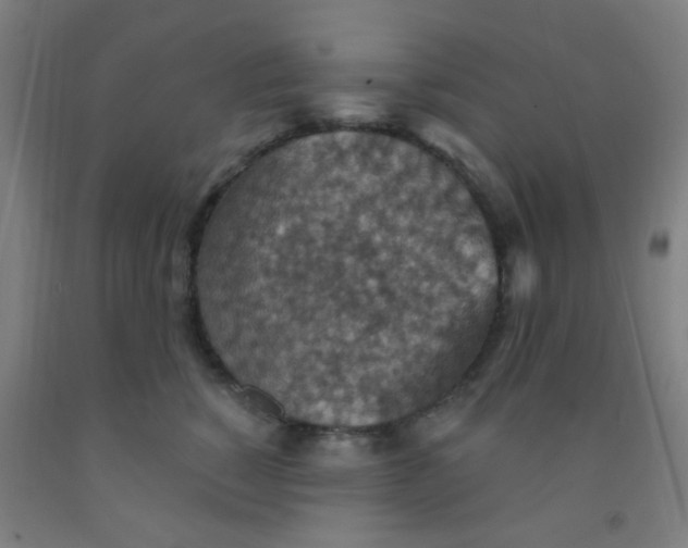 X0000092030760200709271609