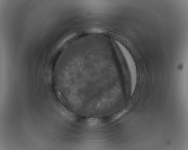 X0000092030762200709271609