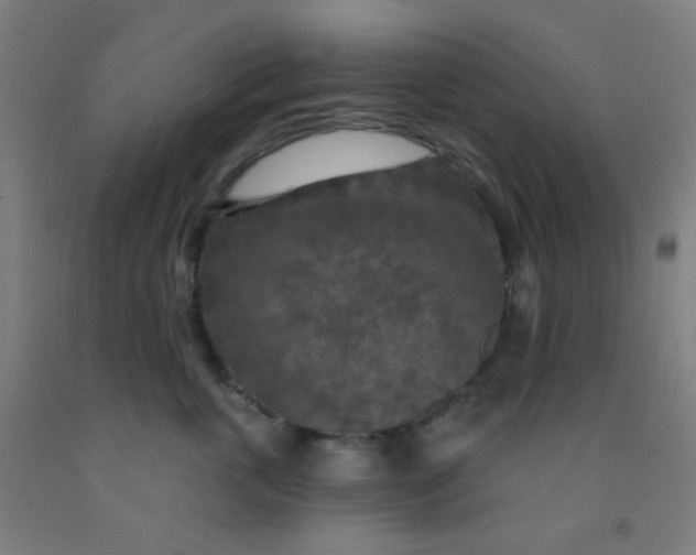 X0000092030763200709271609