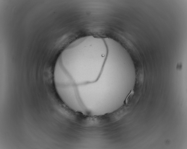 X0000092030764200709271609