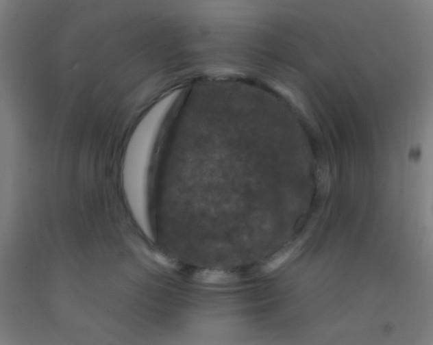 X0000092030766200709271609