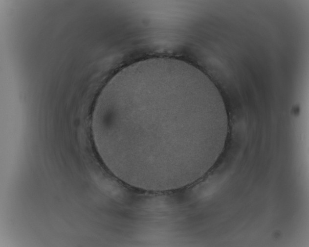 X0000092030769200709271608