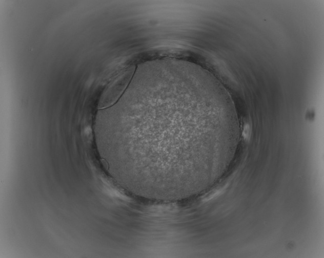 X0000092030771200709271608