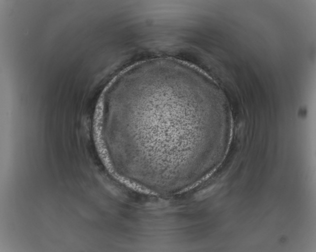 X0000092030772200709271608