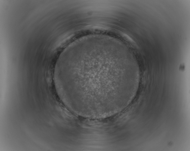 X0000092030774200709271608