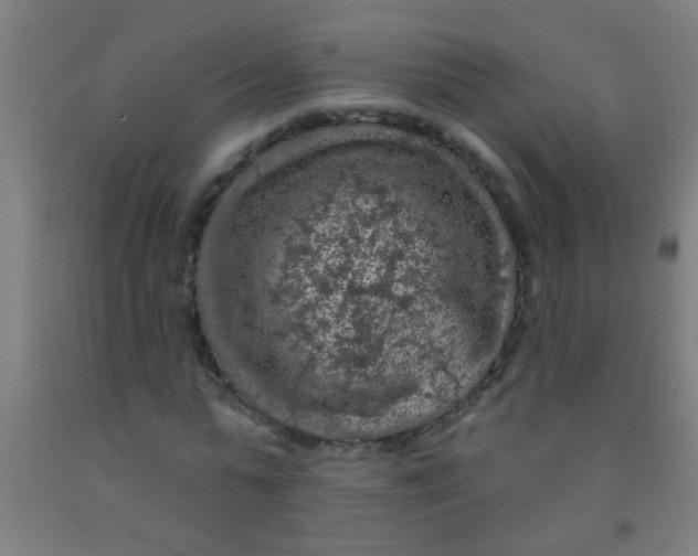 X0000092030775200709271608