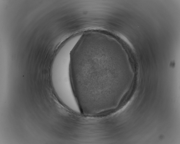 X0000092030777200709271608