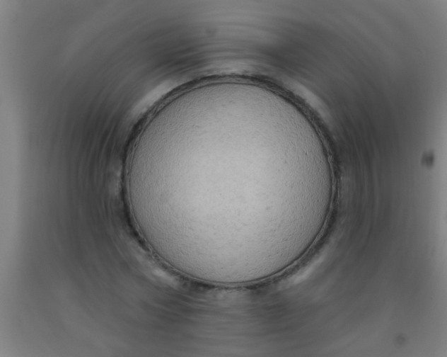 X0000092030778200709271608