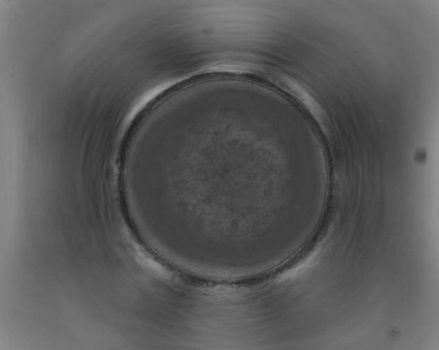 X0000092030779200709271608