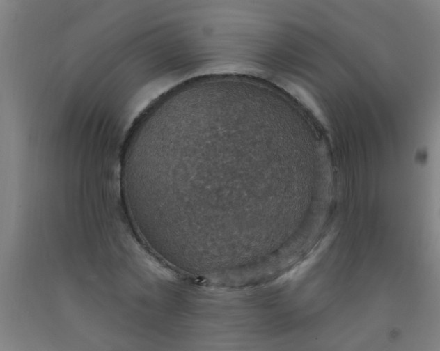 X0000092030781200709271608