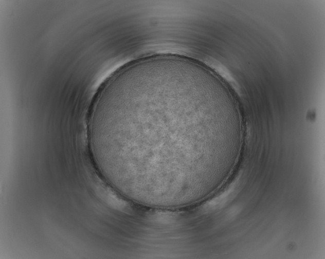 X0000092030782200709271608