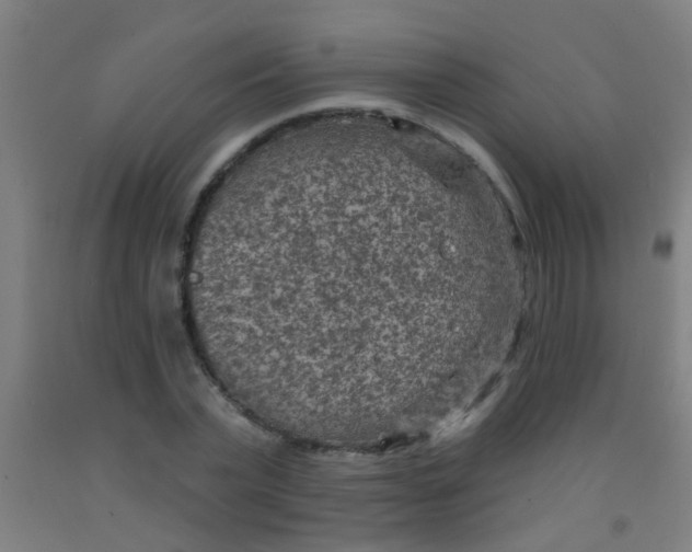 X0000092030783200709271608