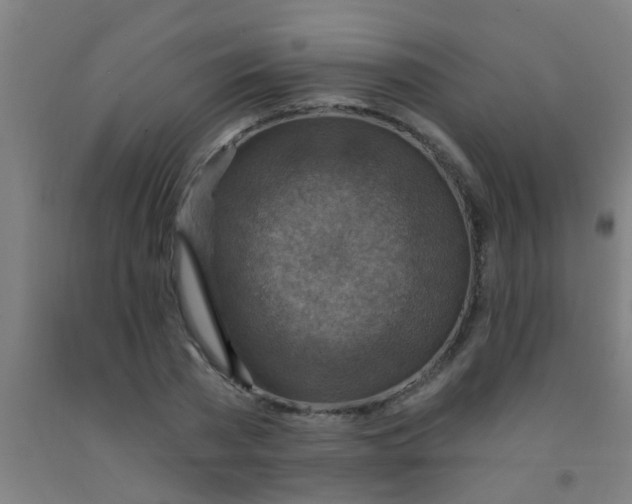 X0000092030785200709271608