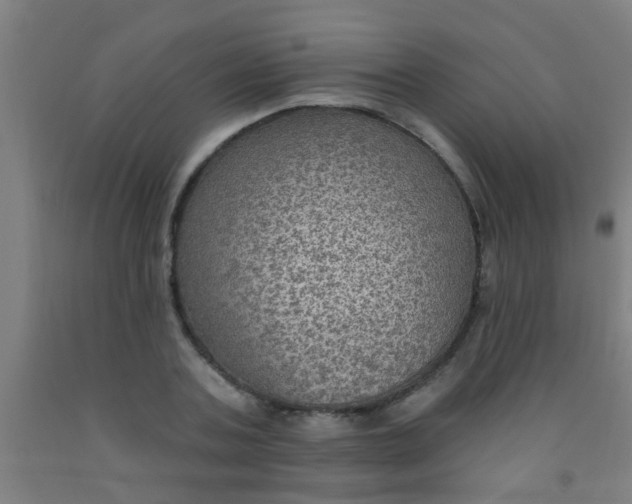 X0000092030787200709271608