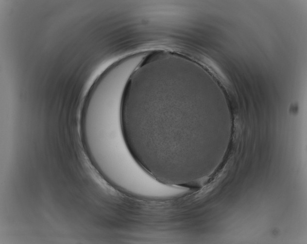 X0000092030788200709271608