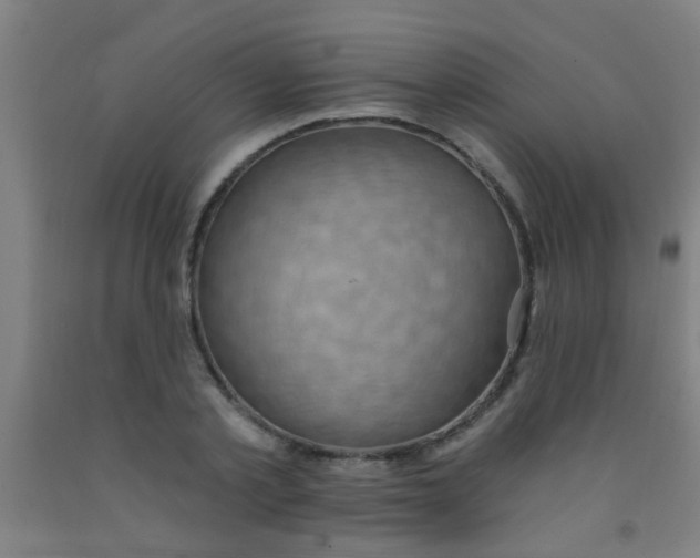 X0000092030789200709271608