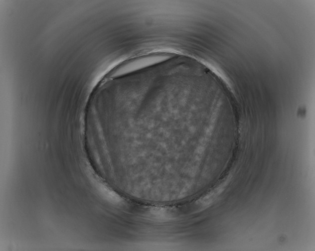 X0000092030790200709271608