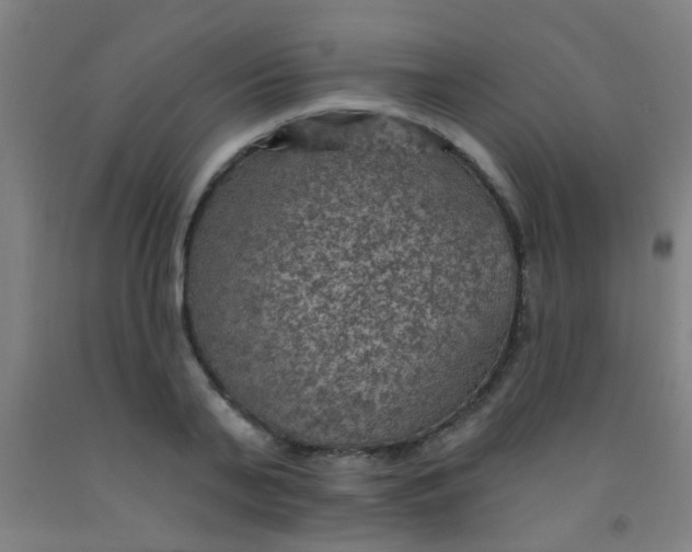 X0000092030791200709271608