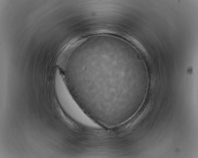 X0000092030793200709271608