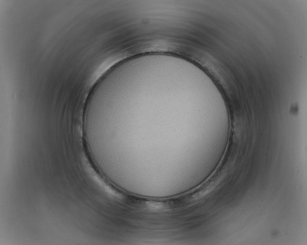 X0000092030794200709271608