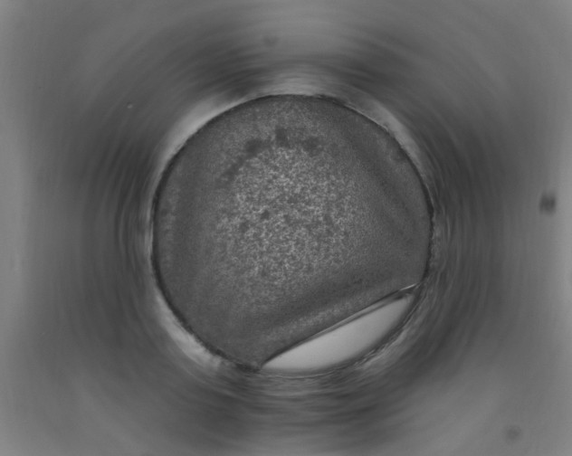 X0000092030795200709271608