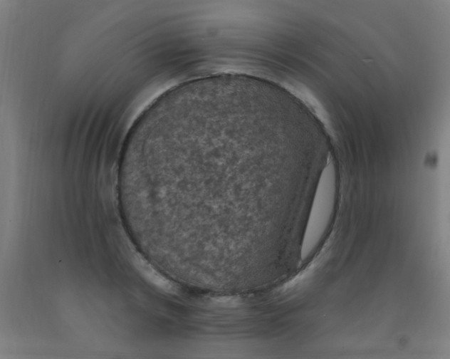 X0000092030798200709271608