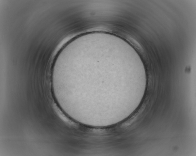 X0000092030800200709271608