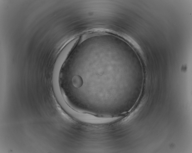 X0000092030801200709271608