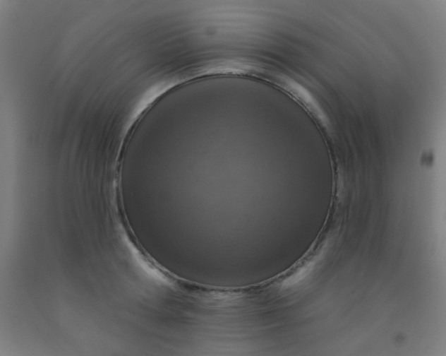 X0000092030802200709271608