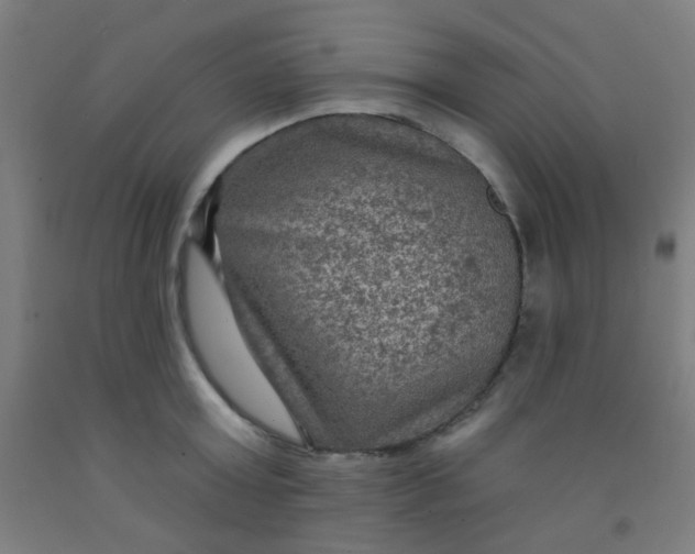 X0000092030803200709271608