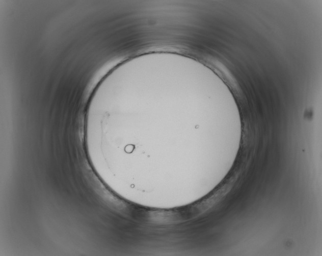 X0000092030804200709271608