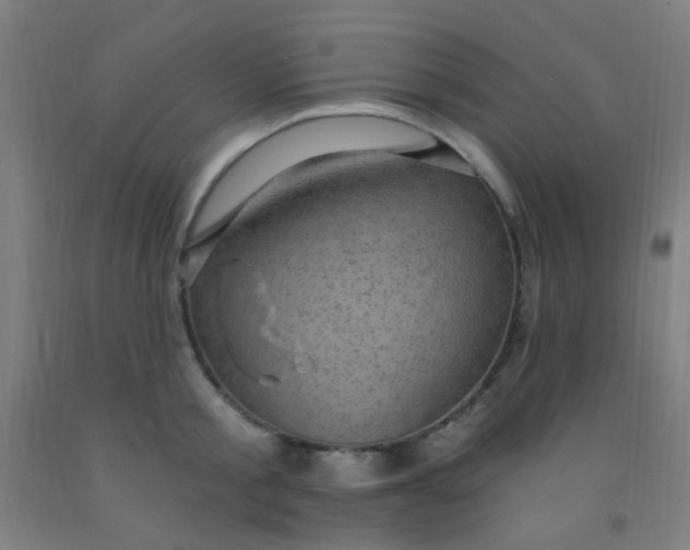 X0000092030805200709271608