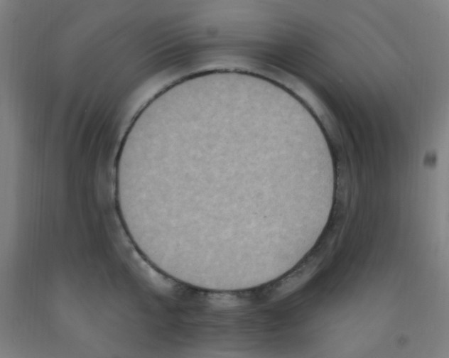 X0000092030807200709271608