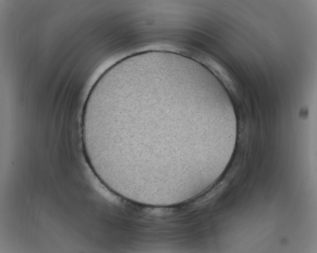 X0000092030808200709271608