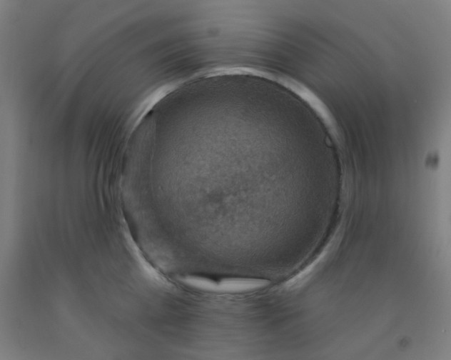 X0000092030809200709271608