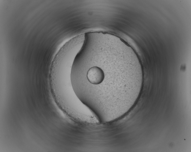 X0000092030810200709271608