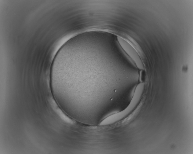 X0000092030812200709271608